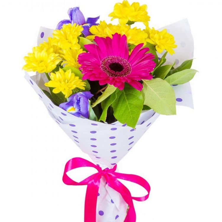 Радость от 4 200 руб.